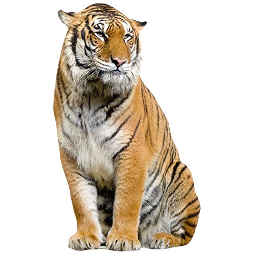 GRAZDesign Wandtattoo Tiger sitzend | Wandaufkleber Afrika | Wandsticker Deko Aufkleber 3d, Wildkatze Raubkatze Wohnzimmer Schlafzimmer Flur, 67x40cm