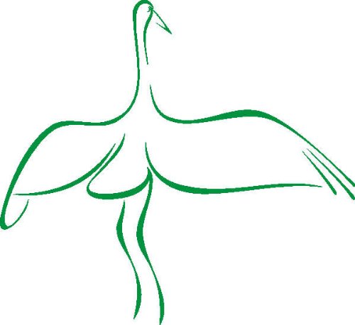 PEMA INDIGOS UG - Wandtattoo Wandsticker Wandaufkleber Aufkleber D339 Tanzender Kranich Vogel 120x109 cm - grün