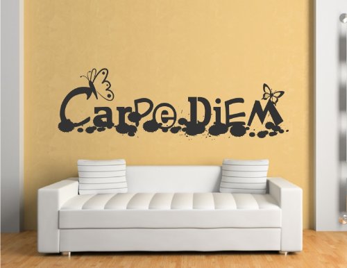 Carpe Diem poppiges Motiv Wandtattoo freie Farbwahl - Motiv sz01-e Wandaufkleber original Stickerkoenig - 100x30cm