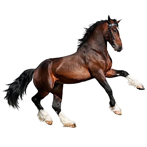 Wandtattoo Pferd braun | Wandtattoo Kinderzimmer Mädchen | Wandsticker Pferde | Deko Wandaufkleber selbstklebend Pferdesticker XXL, 72x57cm