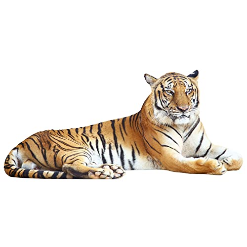GRAZDesign 3d Wandtattoo Tiger liegend Wandsticker Deko Aufkleber, Wandaufkleber Wildkatze Dschungel Wohnzimmer Schlafzimmer Flur, 87x40cm