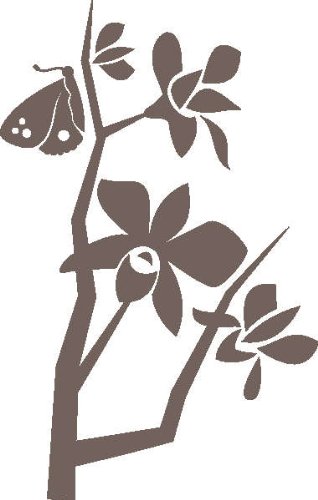 PEMA INDIGOS UG - Wandtattoo Wandsticker Wandaufkleber Aufkleber D416 Orchideen und Schmetterlingen 120x76 cm - braun