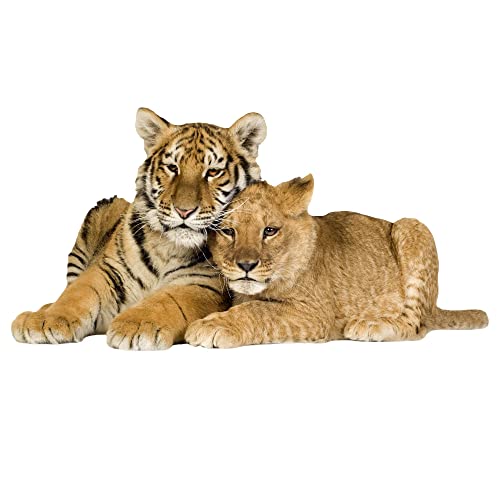 GRAZDesign 3d Wandtattoo Tiger & Löwe Babys liegend Wandsticker Deko Aufkleber, Wandaufkleber Wildkatze Dschungel Wohnzimmer Schlafzimmer Flur, 59x30cm