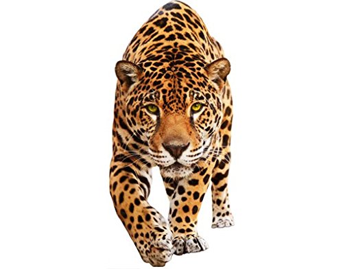 Bilderwelten Wandtattoo Tiger Löwe No.648 Creeping Jaguar, Größe HxB:64cm x 30cm