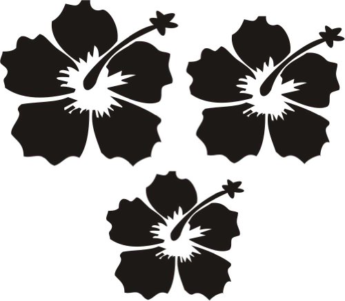 PEMA INDIGOS UG - Wandtattoo Wandsticker Wandaufkleber Aufkleber Hibiskus w599 Blüten - Küche Dekoration Kinderzimmer
