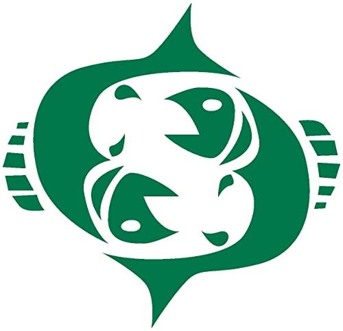 Samunshi® Wandtattoo Sternzeichen Fische 20 x 19,3cm grün