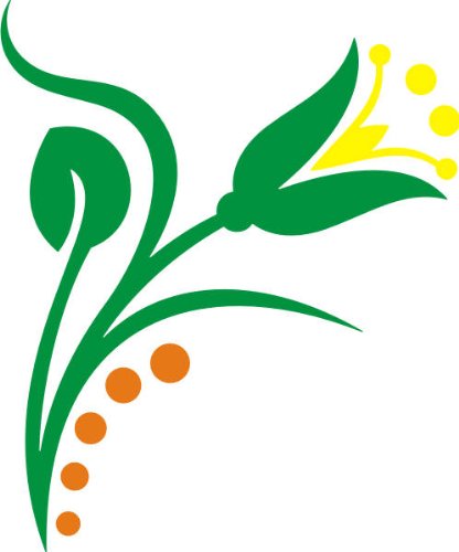 PEMA INDIGOS UG - Wandtattoo Wandsticker Wandaufkleber Aufkleber - Wandaufkleber DF199 Mehrfarbig Orchidee BlütenBlätter 40 x 33 cm