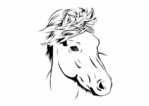 Wandtattooladen Wandtattoo - Pferdekopf 2 Größe:40x50cm Farbe: beige