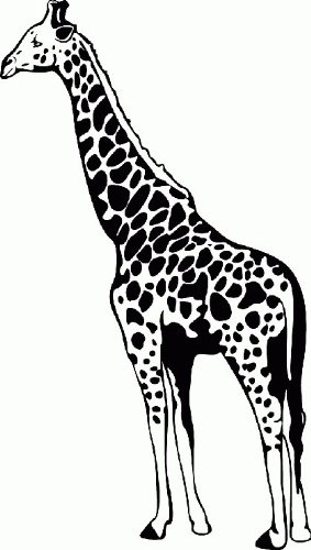 XL WL027 Aufkleber Giraffe 100x58cm - Wandtattoo Wohnzimmer fürs Kinderzimmer Wandaufkleber Wandtatoos Sticker für die Wand, Fensterbild, Tapete, Fliesen, Autoaufkleber, Türaufkleber, Auto