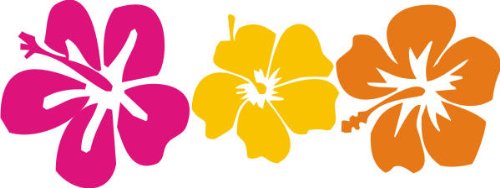 WANDTATTOO DW401 mehrfarbig drei Hibiskus wandaufkleber 60 x 22 cm