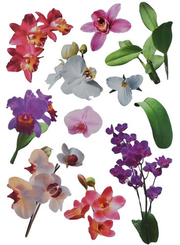 Unbekannt XXL Wandtattoo / Sticker - Orchideen Blüten mit Stengel - Blüte Blumen - selbstklebend für Wohnzimmer und Deko Wandsticker Aufkleber Orchideenzweig Orchidee