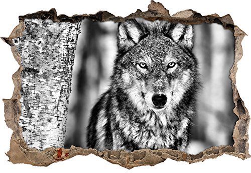 Monocrome, Wachsamer Wolf Wanddurchbruch im 3D-Look, Wand- oder Türaufkleber Format: 92x62cm, Wandsticker, Wandtattoo, Wanddekoration