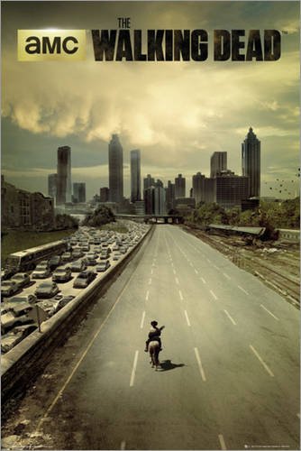 Poster 61 x 91.5 cm -  The Walking Dead - city 