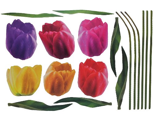 Unbekannt XXL Wandtattoo / Sticker - Tulpen mit Stengel - Frühlingsblumen Frühling - selbstklebend für Wohnzimmer und Deko Wandsticker Aufkleber Blumen