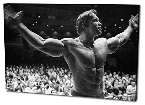 Arnold Schwarzenegger Format: 120x80 Leinwandbild, TOP Qualität!
