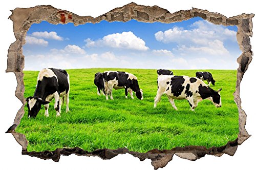 Kühe Weide Wiese Wandsticker Wandaufkleber D0681 Größe 70 x 110