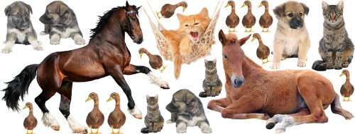 GRAZDesign Kinderzimmer Tiere Pferde Hunde Enten Katzen (150x57cm)