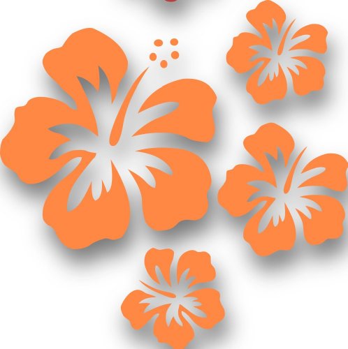 MIXED SET HIBSIKUS Blüten, 4 Stück orange Autoaufkleber Blumen Sticker Outdoor, Wandtattoo & Fensterbild Hibiscus Hawaii