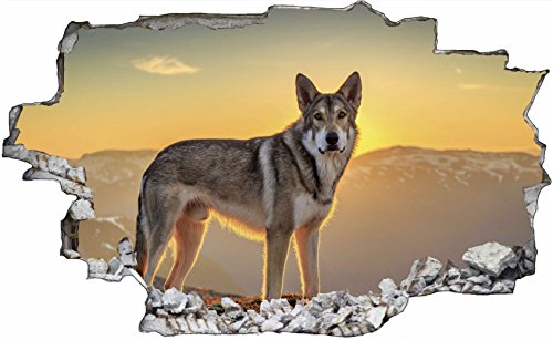 DesFoli Wolf Kojote Wüste 3D Look Wandtattoo 70 x 115 cm Wanddurchbruch Wandbild Sticker Aufkleber C033