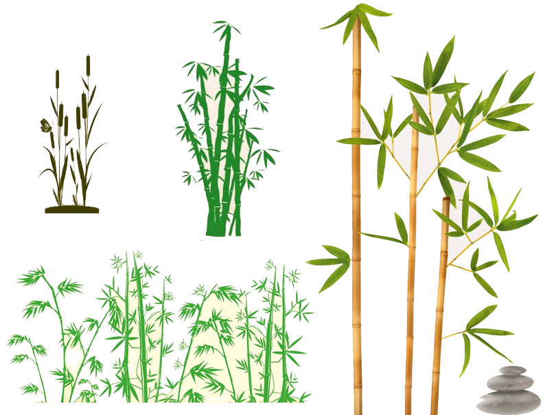 10572 Wandtattoo Loft Wandaufkleber Bambus China Tropen Gräser Pflanze 